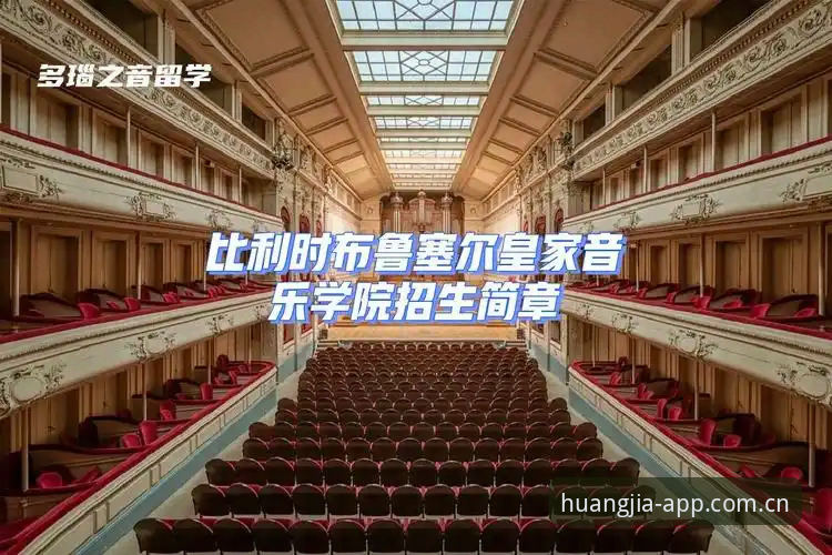 皇家国际官网更新内容深度解析：7大核心升级点与实用指南